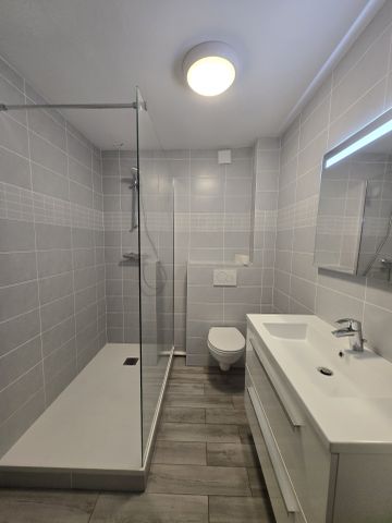 Location Maison 5 pièces 158m² NANCY 54000 - Photo 5