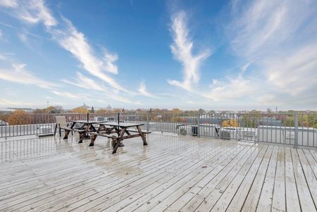 Appartement à louer - Montréal (Mercier/Hochelaga-Maisonneuve) (Hochelaga-Maisonneuve) - Photo 3