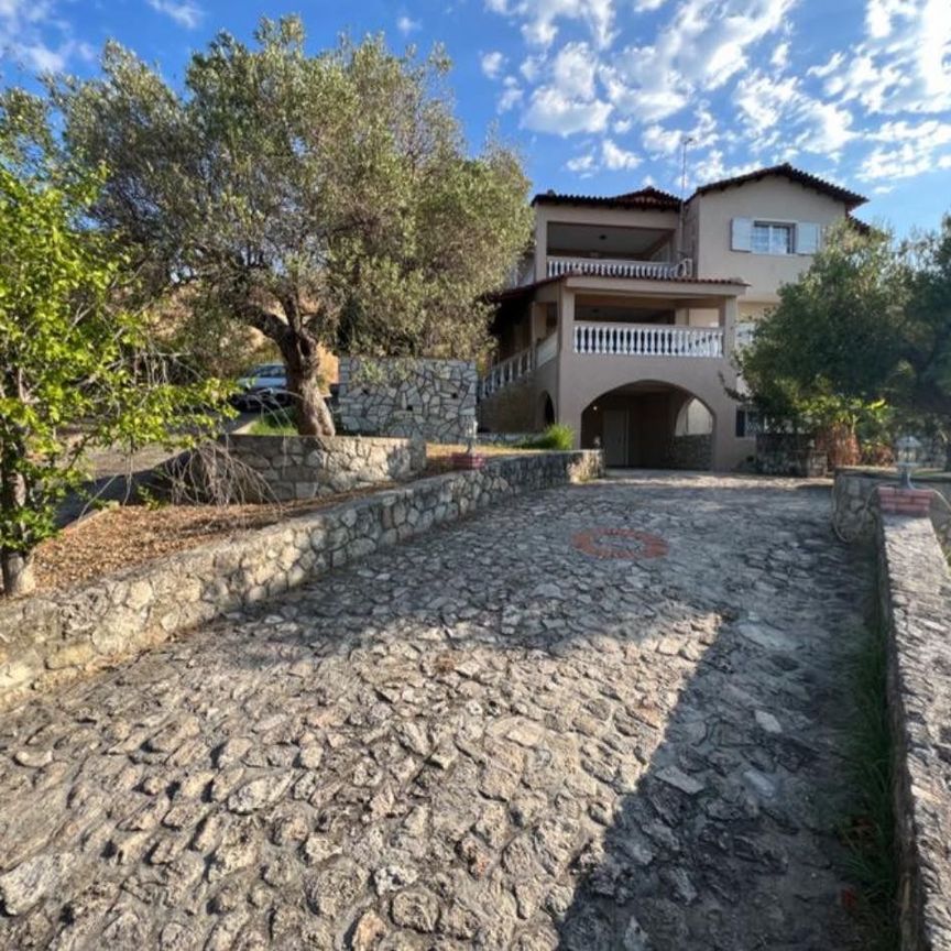 Βίλα για ενοικίαση Νέα Σκιώνη (Παλλήνη) - Photo 1