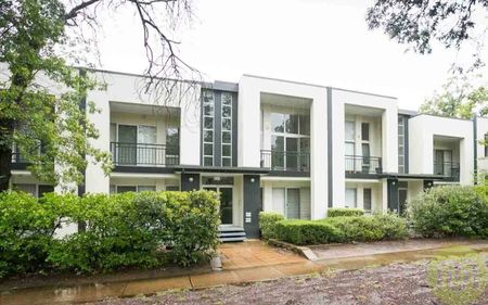 Light Filled Apartment in Prime Braddon Location - Photo 4