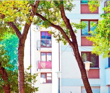 Nowe 1 pokojowe, 3min do przystanku - Zdjęcie 5