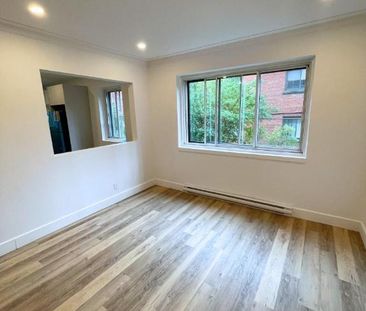 1 CH - 1 SDB - Montréal - $1,545 /mo - Photo 2