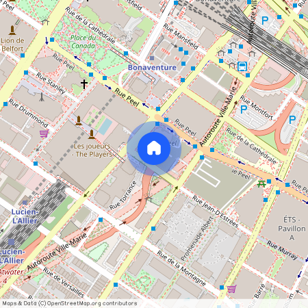 1114 Rue Saint-Antoine Ouest, Montréal, QC