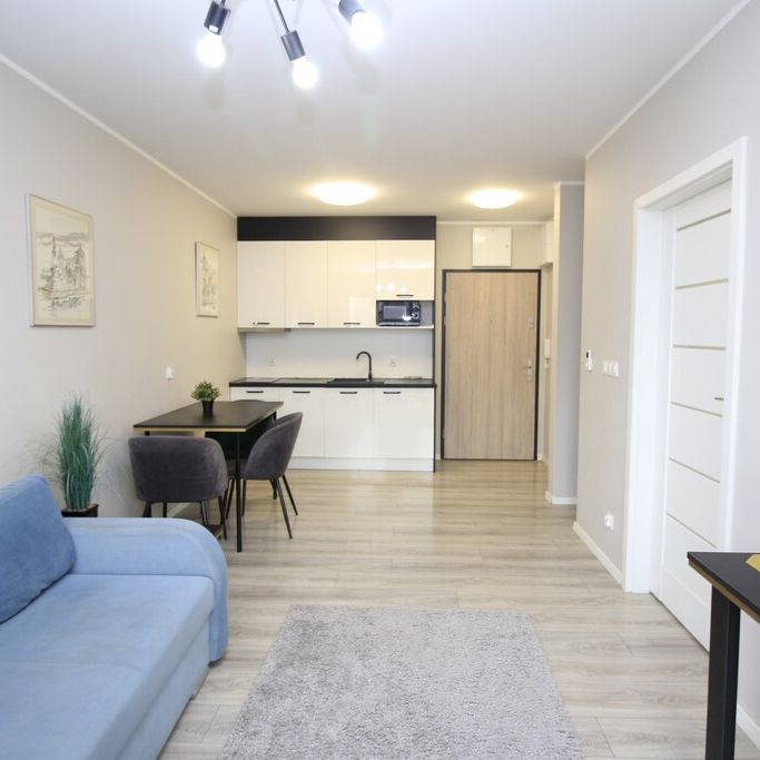 (Symbol 436958) MIESZKANIE na WYNAJEMSzczecin, Śródmieście Na wynajem 2 pokoje w Kamienicy Nowa w Szczecinie - Photo 1