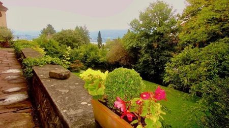 Luxurious living dream with lake view - Photo 5