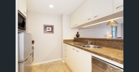 THE OAKS GRAND I Spacious Furnished One Bedroom Apartment - Photo 3