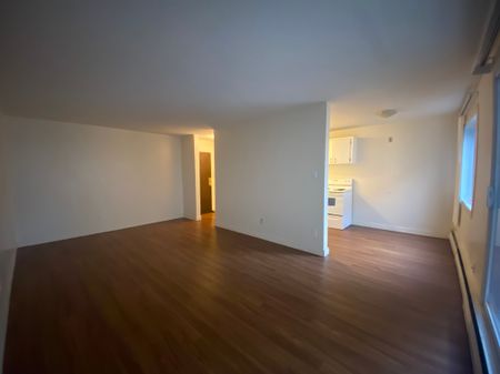 Darren Manor - Photo 4