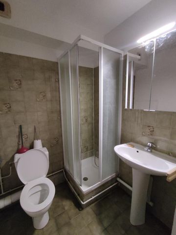 Location Appartement 1 pièce 20m² GRENOBLE 38000 - Photo 3