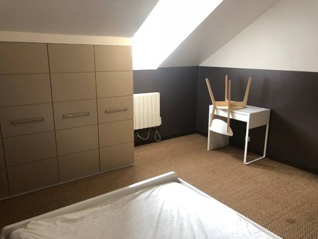 Amazing flatshare in the City Center of Nantes - Photo 3