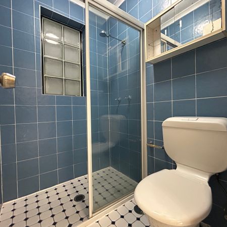 3/250 Bridge Road, Forest Lodge NSW 2037 - Studio For Rent | Domain - Photo 3