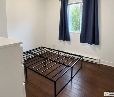 2234, Rue Du Souvenir, Ville-Marie (Centre-Ville et Vieux-Montréal) à louer - Photo 4