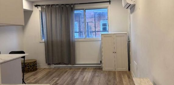 1 CH - 1 SDB - Montréal - $1,195 /mo - Photo 2