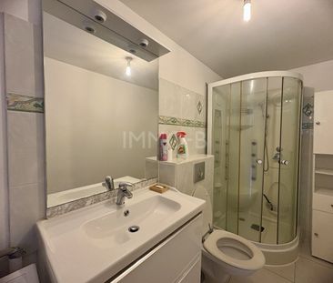 Location Appartement 1 pièce 25m² RAMONVILLE ST AGNE 31520 - Photo 3