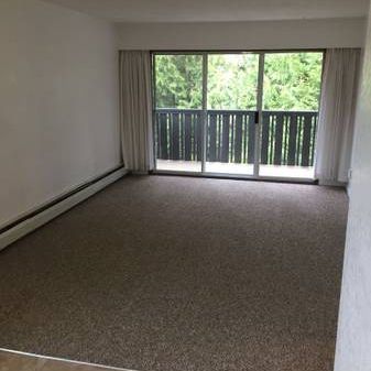 QUADRA/CLOVERDALE, quiet spacious 1 BR, - Photo 3