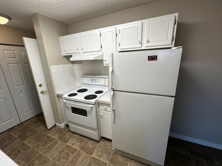 Spacious 2 Bedroom Cat Friendly Suite in Clearview! - Photo 5