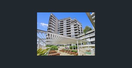 Spacious Two-Bedroom Waterfront Apartment - King Street Wharf Lifestyle - Photo 3