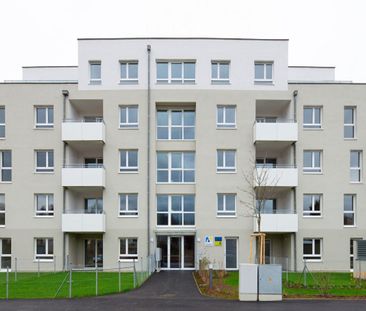 HOLLABRUNN XV/1 - Photo 4