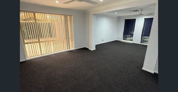 5 Castlemaine Close, Ashtonfield - Photo 1