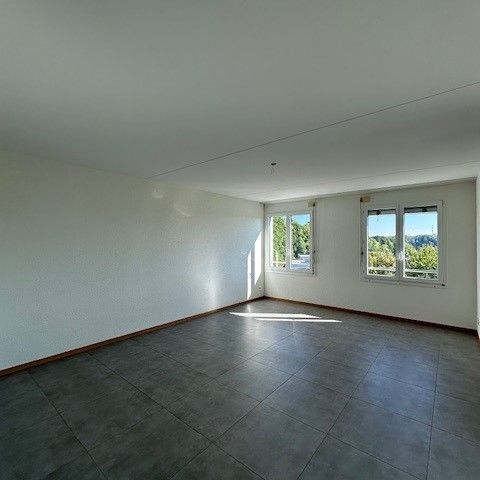 Philippe-Suchard 46, Boudry - Photo 1