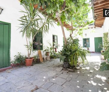 seville, Andalusia 41003 - Photo 5