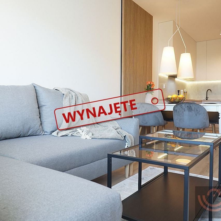 Dwupokojowe mieszkanie do wynajęcia, ulica Potulicka - Zdjęcie 1