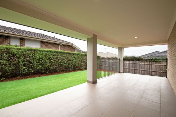 Spacious, Light Filled Family Home - Photo 1