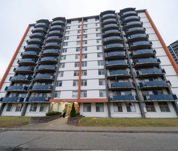 For Lease - 2255 Weston Road Unit# B1, Toronto, Ontario - Photo 3