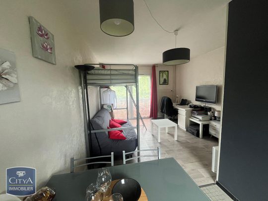 Location Appartement 1 pièce 28m² VANDOEUVRE LES NANCY 54500 - Photo 1