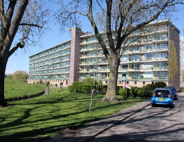 170, Ooievaarstraat, 2162 XW, Lisse - Photo 1
