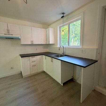 2 CH - 1 SDB - Québec - $1,100 /mo - Photo 3
