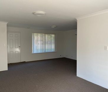 Dianella - Photo 3