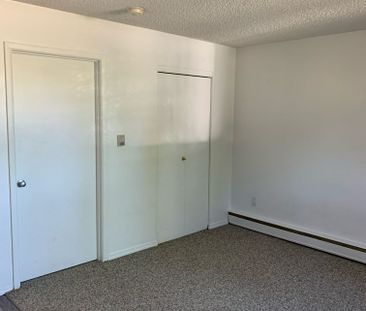 1 BDRM/1 BATH - 2102 MAIN ST - Available NOW *December Rent Special!* - Photo 3