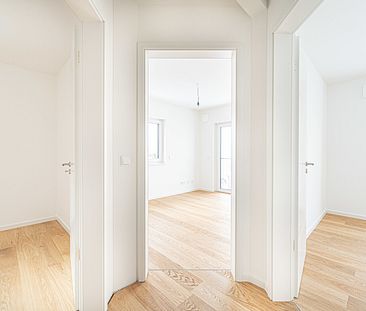 Legen Sie Wert auf gesundes Wohnen? Neubau-Erstbezug einer 5,5 Zimmer Doppelhaushälfte in Trudering - Photo 1