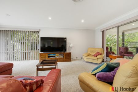LILLI PILLI NSW - Photo 4