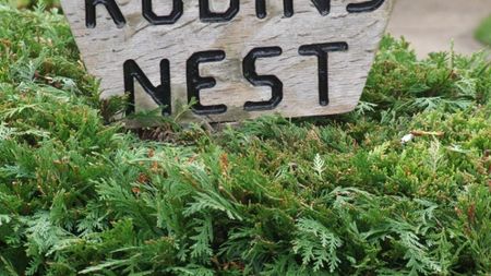 Robin’s Nest, Chapel Lane, Mareham Le Fen - Photo 5