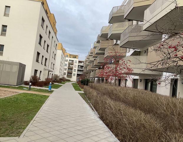 Mietwohnung in Ludwigshafen - Neues Jahr und wir haben hier Ihre neue Wohnung - Photo 1