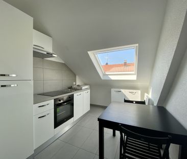 Location Appartement 2 pièces 25m² ST LOUIS 68300 - Photo 3