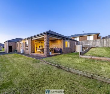 FAMILY HOME IN GREAT LOCATION! - Photo 5