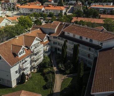 Emanuel Bagares gata 8 - Foto 4