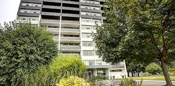 North Shore Towers - Photo 2