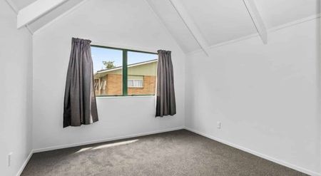 42a Ohaupo Road - Photo 2