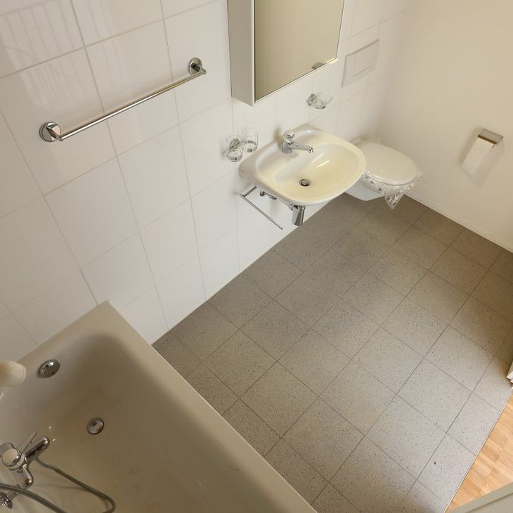 Wohnsiedlung "Obere Widen" im Grünen am Birsufer gelegen - Photo 1