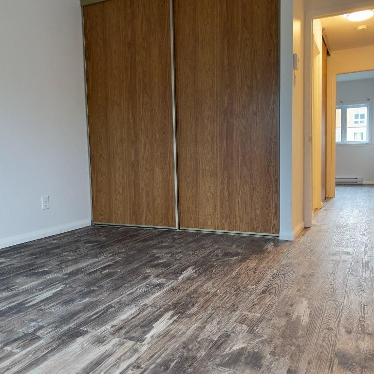 Un mois Gratuit. Bel appart libre quartier calme, sécuritaire. Centre Lévis. Rez de chaussée. - Photo 1