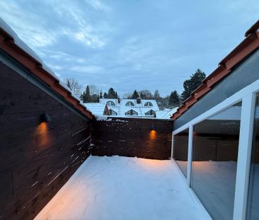 Wohnung zu vermieten Historischer Hof trifft Luxusloft - Photo 1