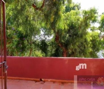 Alquiler de casa o chalet independiente en Urbanización el Rosario s/n - Photo 4