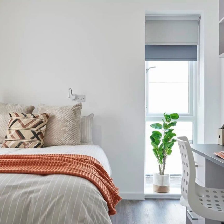 Premium Studio - Photo 1