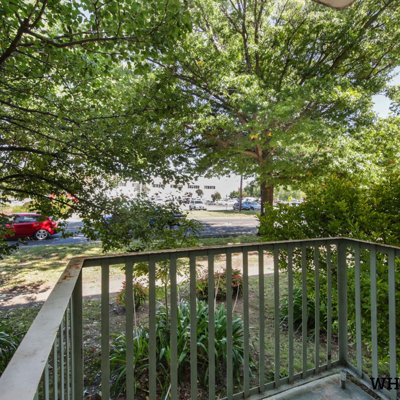 2/56 Morisset Street, Queanbeyan NSW 2620 - Apartment For Rent | Domain - Photo 1