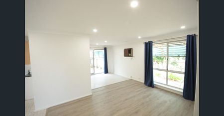 ** MASSIVE POWERED SHED!** - Photo 5