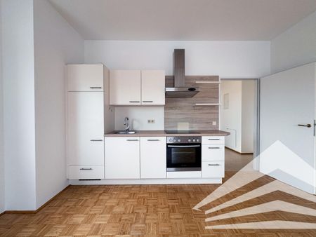 AM WINTERHAFEN: Helle 2 Zimmerwohnung mit Küche und Donaublick! - Foto 3