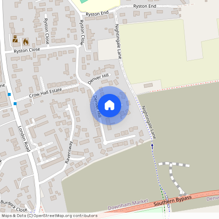 Wagtail Road, Downham Market